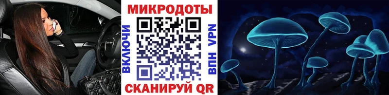 Галлюциногенные грибы MAGIC MUSHROOMS  где можно купить наркотик  Ярославль 